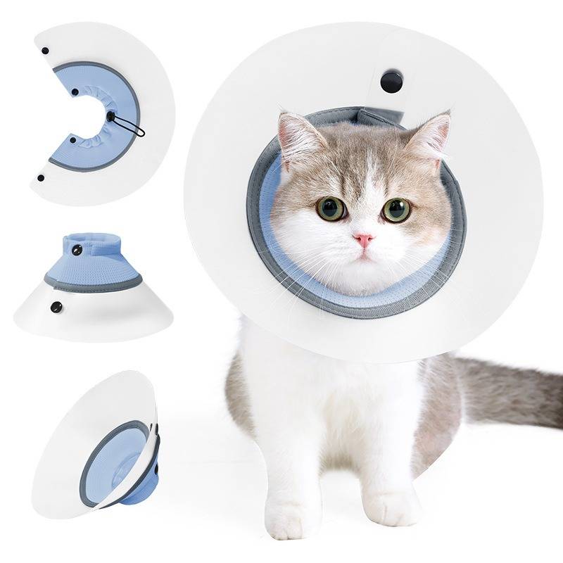 Eine Katze mit einem schützenden Genesungskragen mit blauer gepolsterter Nackenöffnung; Detailaufnahmen zeigen den Kragen aus verschiedenen Winkeln und Einzelteilen.