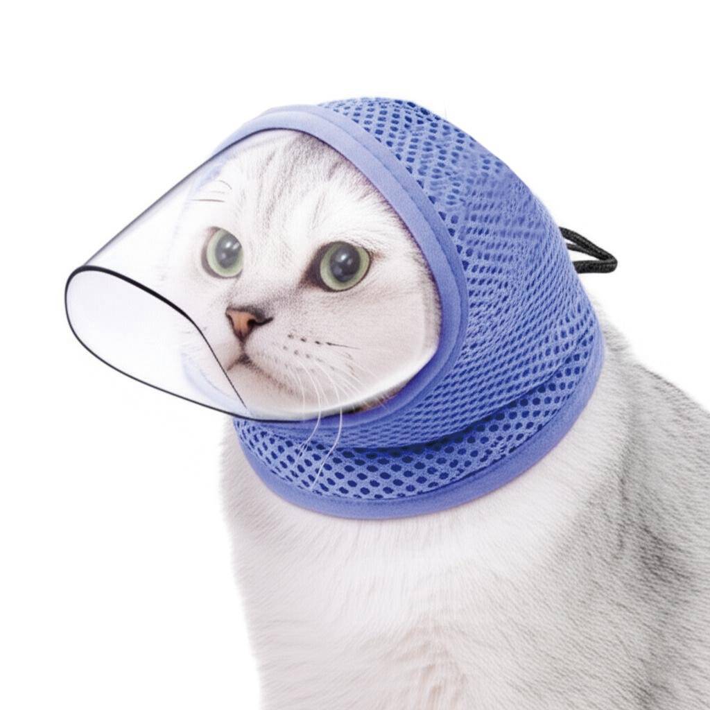 Weiße Katze mit einem blauen Netzstoff-Genesungskragenhalsband, frontal gegen einen einfachen weißen Hintergrund.