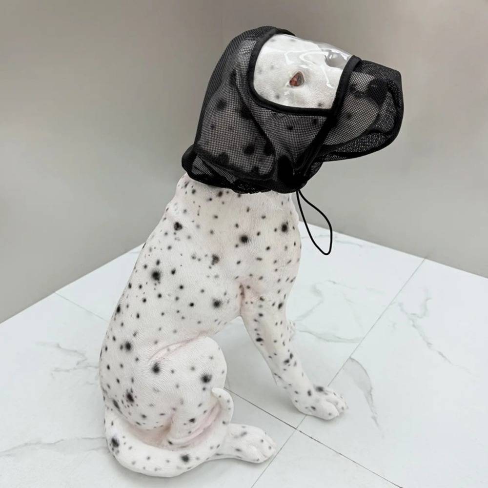 Dalmatiner mit schwarzer Mesh-Schutzhaube am Kopf, sitzend auf weißem Fliesenboden.