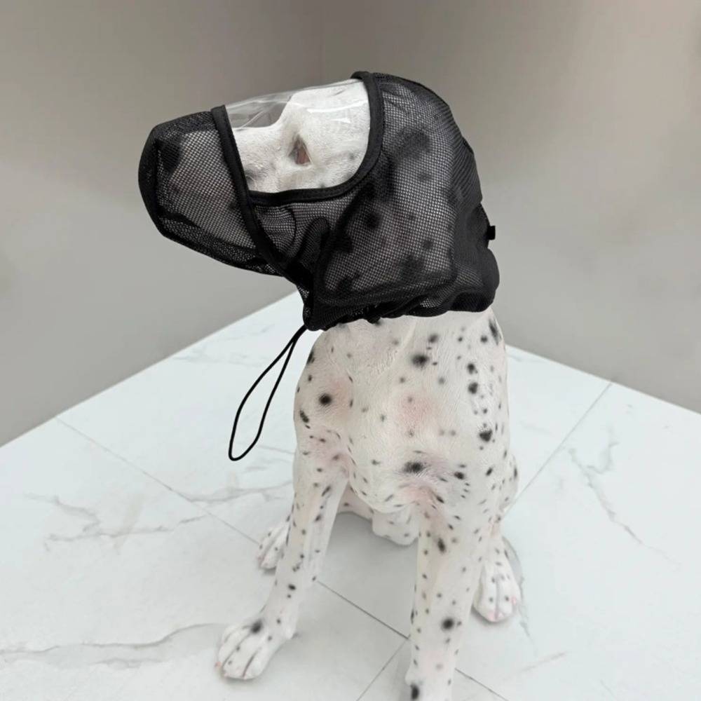 Weißer Hund mit Flecken, der eine schwarze Schutzmaske aus Netzstoff trägt, die seinen Kopf und sein Maul bedeckt, sitzt auf einem hellen Marmorboden im Innenbereich.