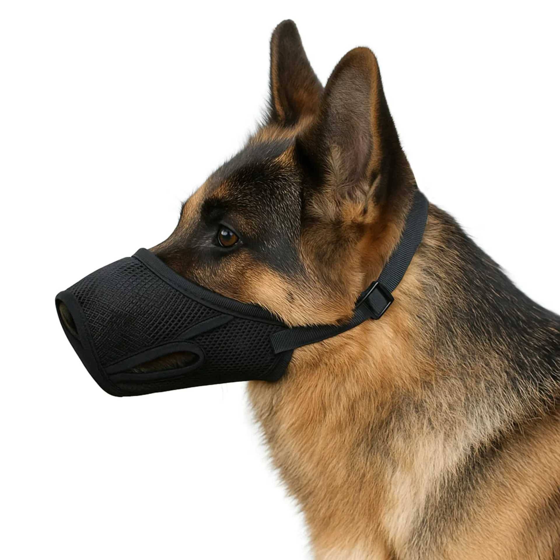 Deutscher Schäferhund mit schwarzem Netzmaulkorb und Kopfriemen, von der Seite vor weißem Hintergrund gezeigt.