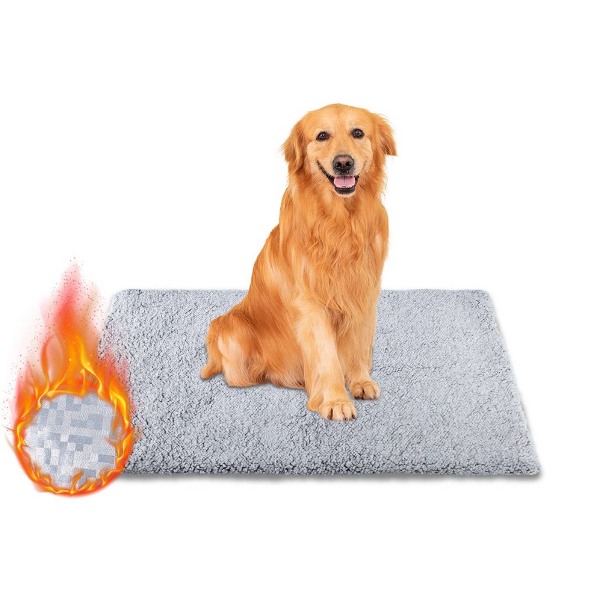 Golden Retriever, der auf einer grauen Tiermatte sitzt, mit einem flammenden, brennenden Spielball unten links.