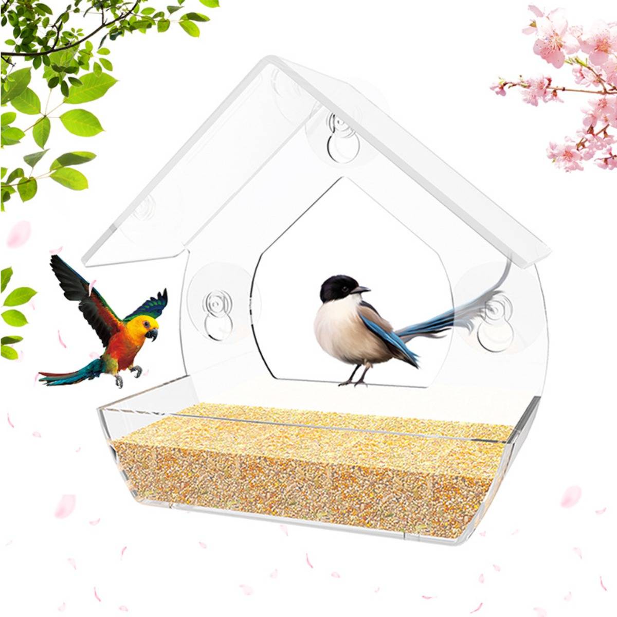 Zwei Vögel neben einem klaren, wandmontierten Vogelfutterhaus, das mit Samen gefüllt ist, umrahmt von grünen Blättern und rosa Blüten.