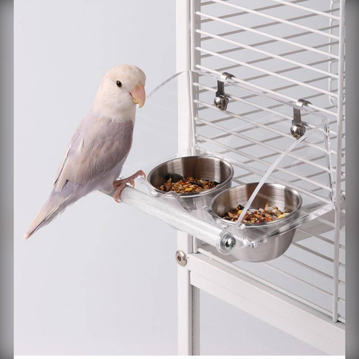 Ein kleiner weiß-grauer Vogel steht auf einem an einem Käfig befestigten Futterautomaten und frisst aus zwei Metallnäpfen.
