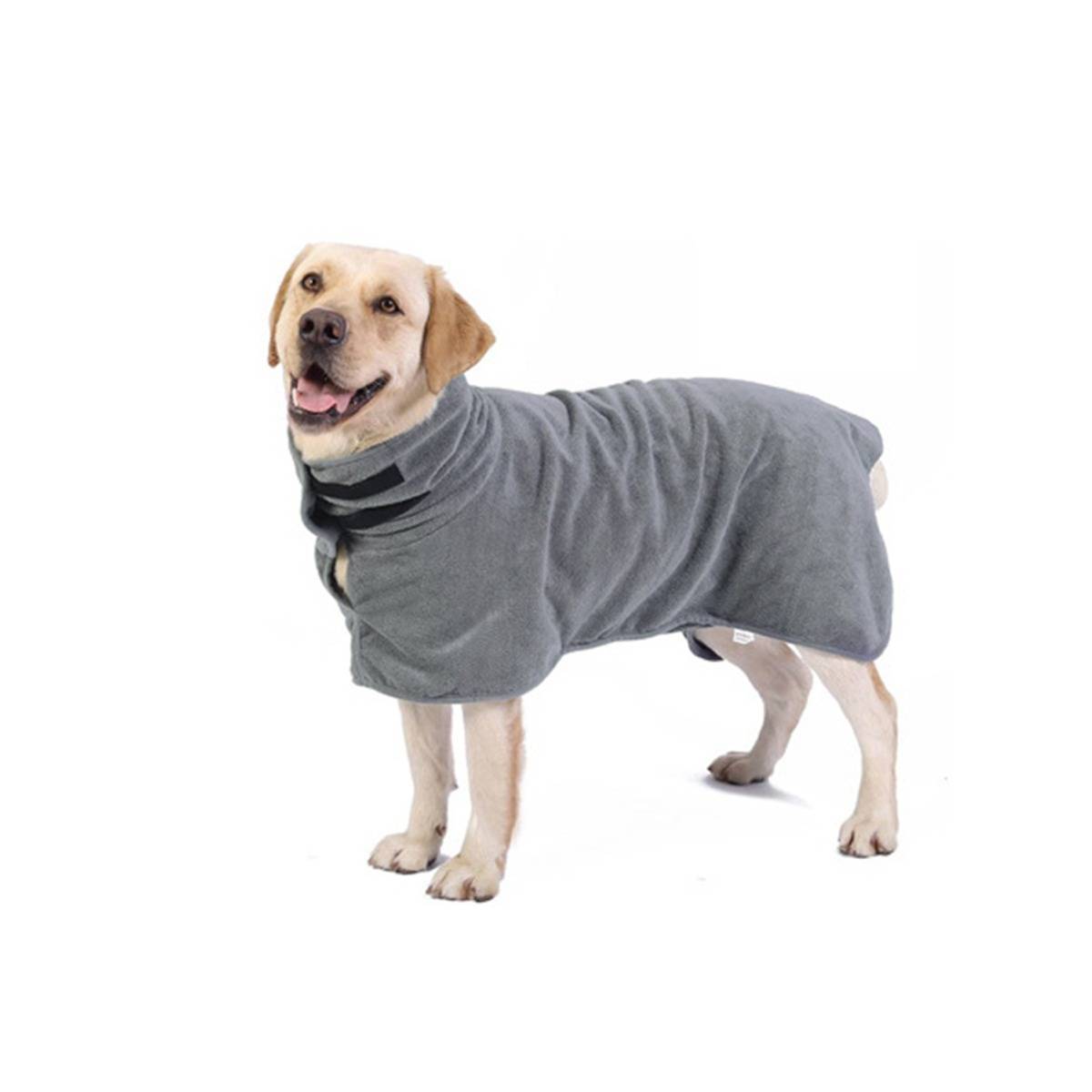 Ein lächelnder gelber Labrador, der einen grauen Mantel trägt, steht vor einem weißen Hintergrund.