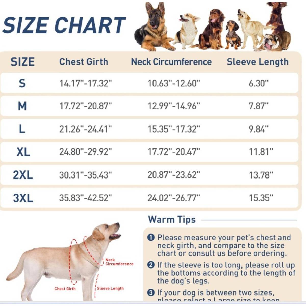 Doppelter Beinschutz für Hunde: Vorderbeinmanschetten für die Erholung von Verletzungen XL