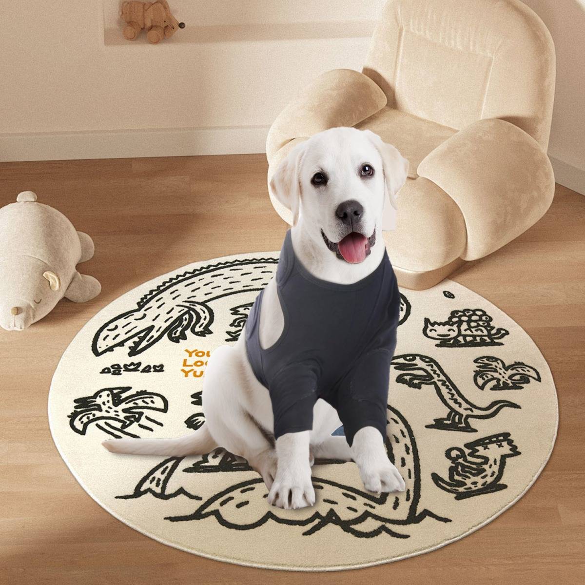 Weißer Hund in einem dunklen Hemd sitzt auf einem runden illustrierten Teppich in einem gemütlichen Zimmer mit beigen Stühlen und einem Plüschtier in der Nähe.