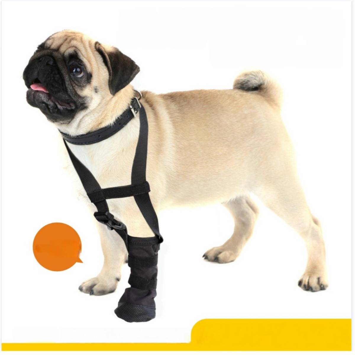 Mops mit schwarzem Vorderbein-Stützgeschirr auf weißem Hintergrund, mit gelbem Banner und orangefarbiger Sprechblase.