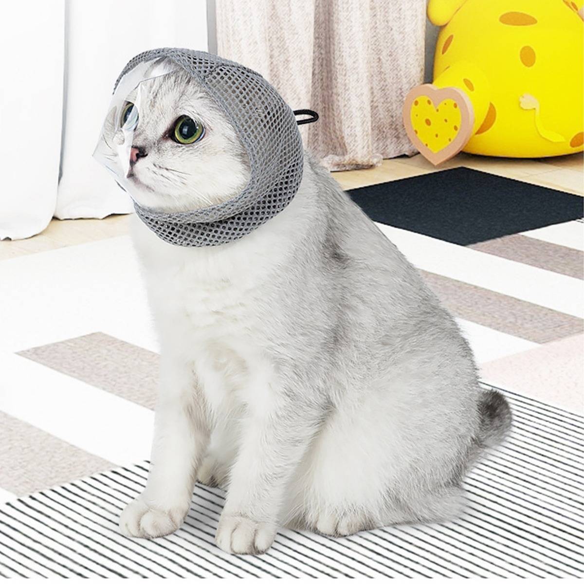 Eine weiße Katze sitzt auf einer gestreiften Matte und trägt eine Schutzhaube aus Netzstoff um ihren Kopf, drinnen in der Nähe eines gelben Spielzeugs im Hintergrund.