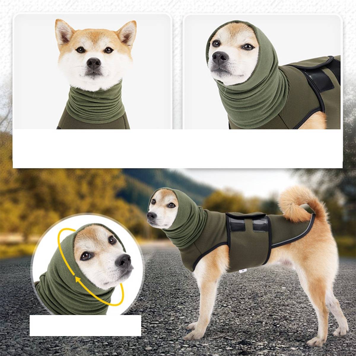 Collage eines Hundes, der einen olivfarbenen Halstuch und einen olivfarbenen Ganzkörperanzug trägt, dargestellt in Nahaufnahme und Vollansicht auf einer Straße.