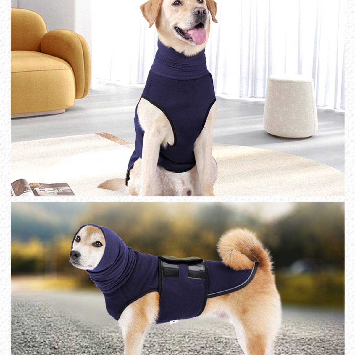 Zwei Fotos eines Hundes, der ein dunkelblau Schutzkleidungsstück trägt: sitzend im Innenbereich und stehend im Freien, zeigt die Passform und Abdeckung des Outfits.