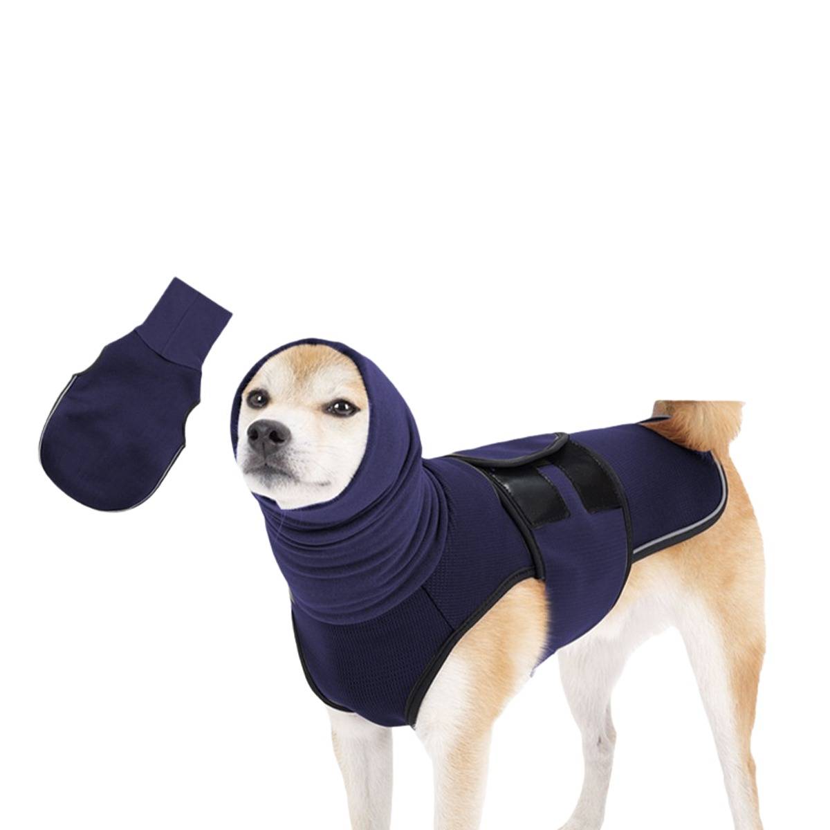 Kleiner Hund trägt einen dunkelblau gefärbten Genesungsanzug mit Kapuze und Brustwickel, mit einer passenden separaten Pfotenschutzhülle, die daneben auf weißem Hintergrund gezeigt wird.