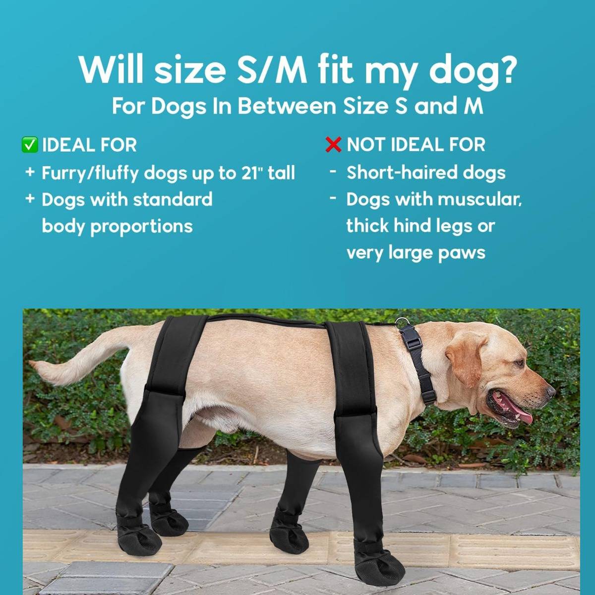 Größenleitfaden – Passt S/M zu meinem Hund: Ideal für flauschige Hunde bis 21 Zoll Größe mit Standardproportionen; nicht ideal für kurzhaarige oder muskulöse Hunde mit großen Pfoten.