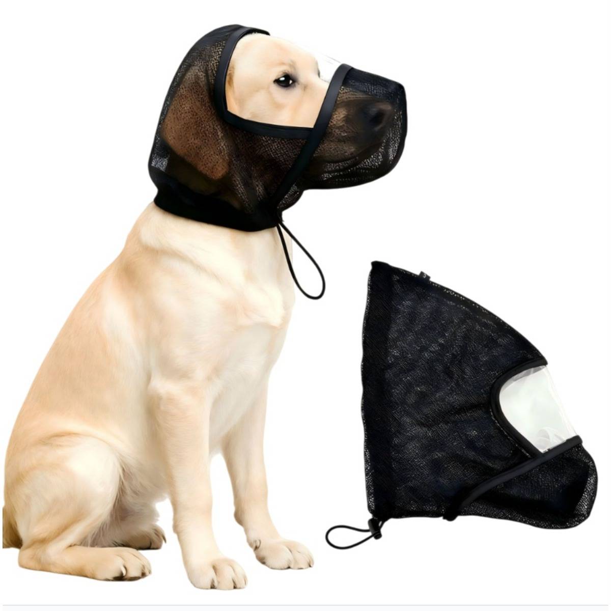 Gelber Labrador mit schwarzem Netzmaulkorb; ein passender Maulkorb liegt neben dem Hund auf weißem Hintergrund.