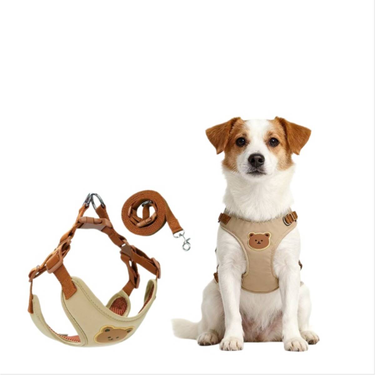 Kleiner weiß-brauner Hund mit beigem Geschirr mit Bärchen-Patch, neben einem passenden Geschirr und einer Leine auf weißem Hintergrund dargestellt.