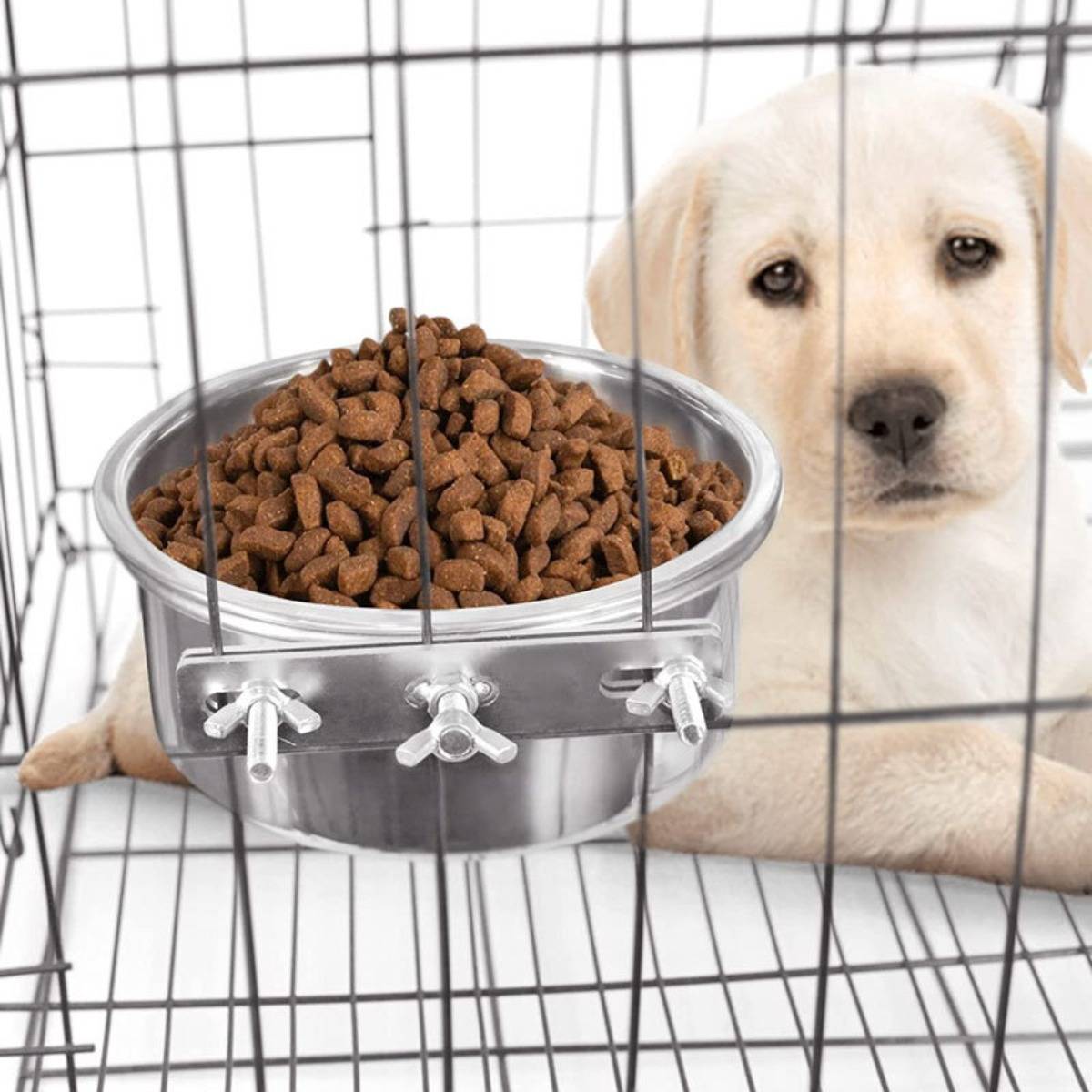 Welpe hinter Gitterstäben eines Käfigs neben einer metallenen Hängeschüssel voller Trockenfutter, was die Fütterung in einer Hundebox andeutet.