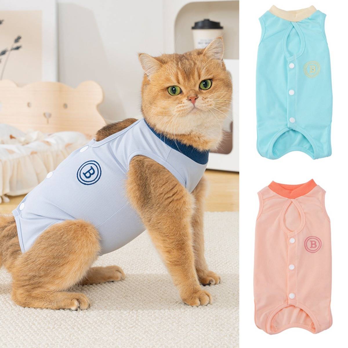 Katze in einem hellblauen Haustier-Genesungsanzug; zwei alternative Anzugfarben, Aqua und Rosa, werden auf der rechten Seite gezeigt.