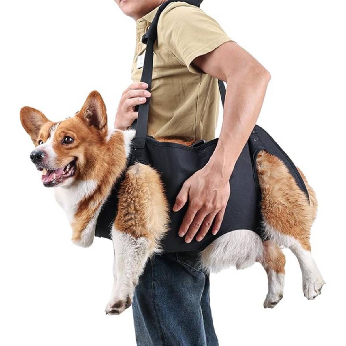 Ein Mann trägt einen glücklichen Corgi in einer schwarzen Tragehilfe zum Heben oder Transportieren des Hundes.