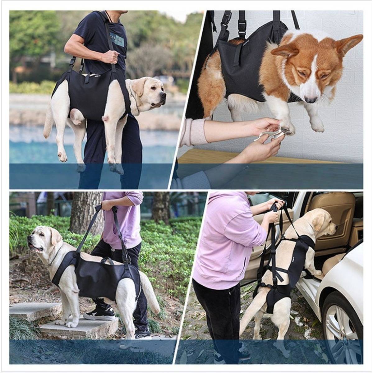 Collage, das eine Behindertenstützweste zeigt, die einen Hund in verschiedenen Situationen hebt und stabilisiert: beim Gehen, beim Krallenschneiden und beim Einsteigen ins Auto.
