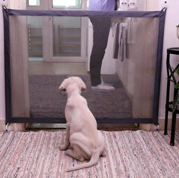 Ein weißer Welpe sitzt auf einem Teppich vor einem Maschen-Hundegitter und beobachtet die Beine einer Person im Raum dahinter.