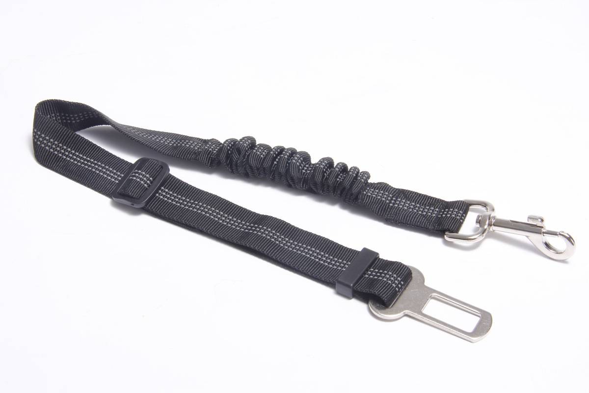Schwarze verstellbare Hundeleine mit gepolstertem Griff, aufgerolltem Bungee-Bereich und Metallclip sowie Gürtelstil-Befestigung auf weißem Hintergrund