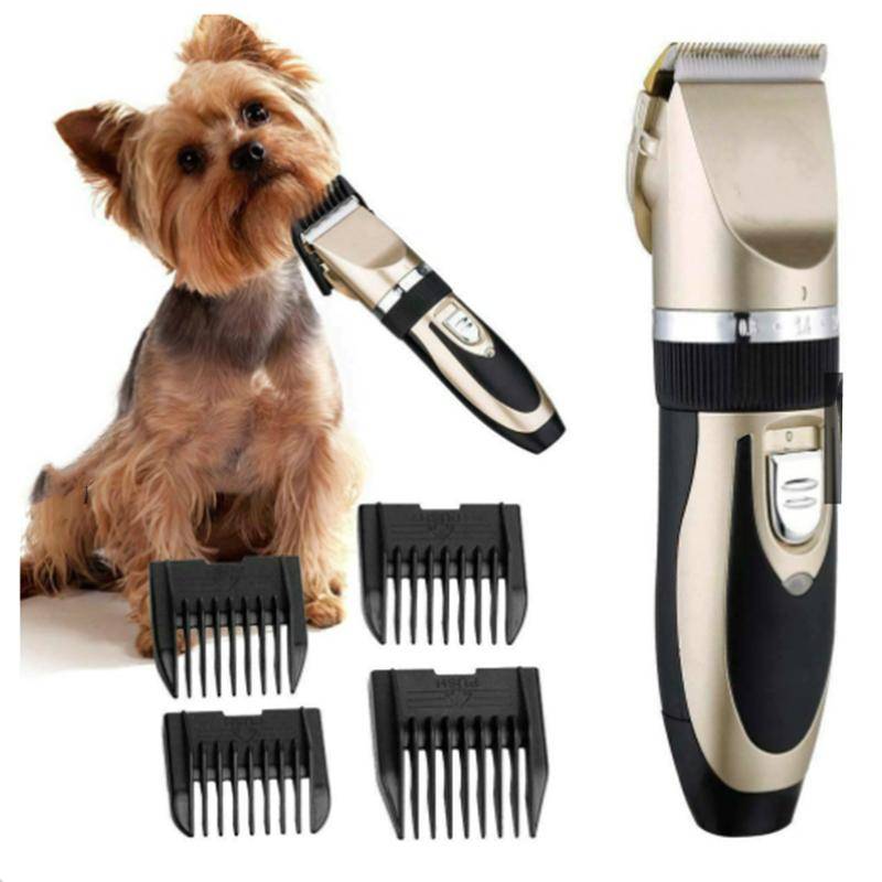 Kleiner Hund neben einer schnurlosen Haustierhaarschneidemaschine mit vier Kammaufsätzen, die ein Grooming-Werkzeug zum Trimmen von Fell zeigt.