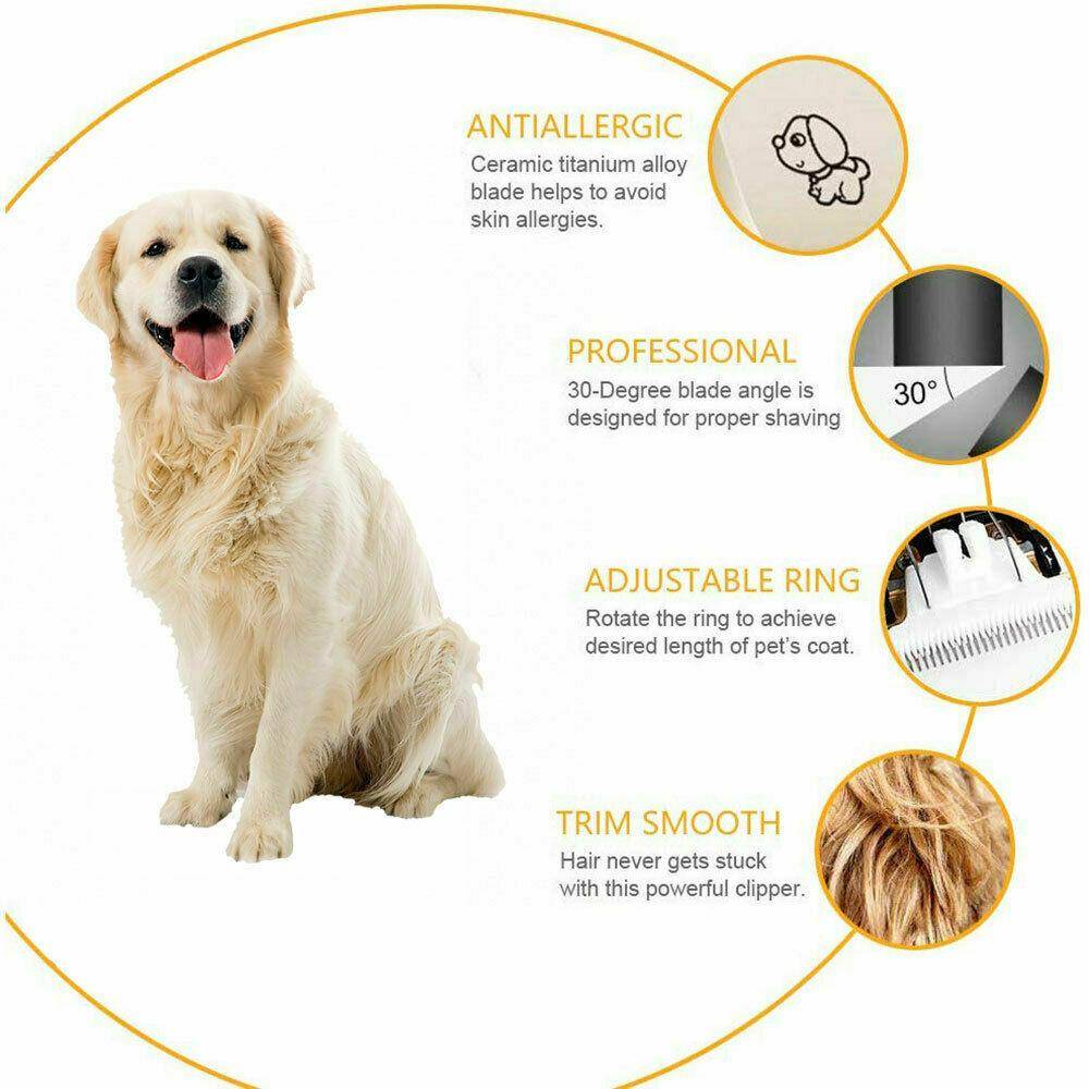 Infografik eines Hundetrimm-Clippers mit einem Golden Retriever, die ein allergikerfreundliches Keramik-Titan-Blatt, einen 30-Grad-Blattwinkel, einen verstellbaren Ring und einen sanften Schnitt hervorhebt.