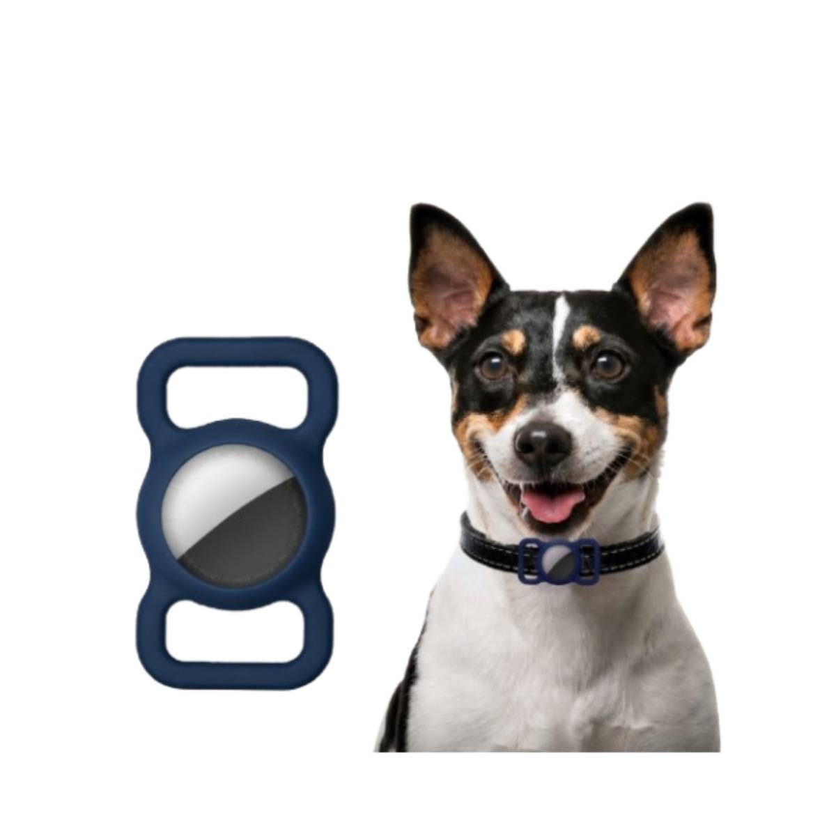 Kleiner schwarzweißer Hund neben einer blauen Hundehalsband-Schnalle oder einem Clip auf weißem Hintergrund.