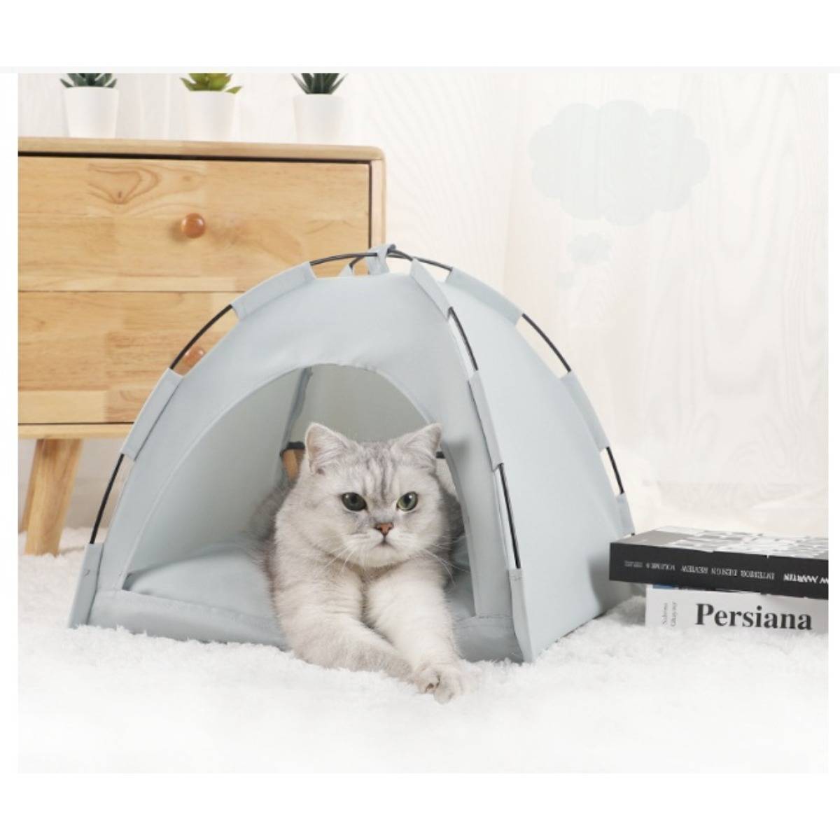 Eine silberne Katze fläzt sich in einem kleinen grauen Zelt in einem hellen Raum, in der Nähe eines Holzschranks und von Büchern.