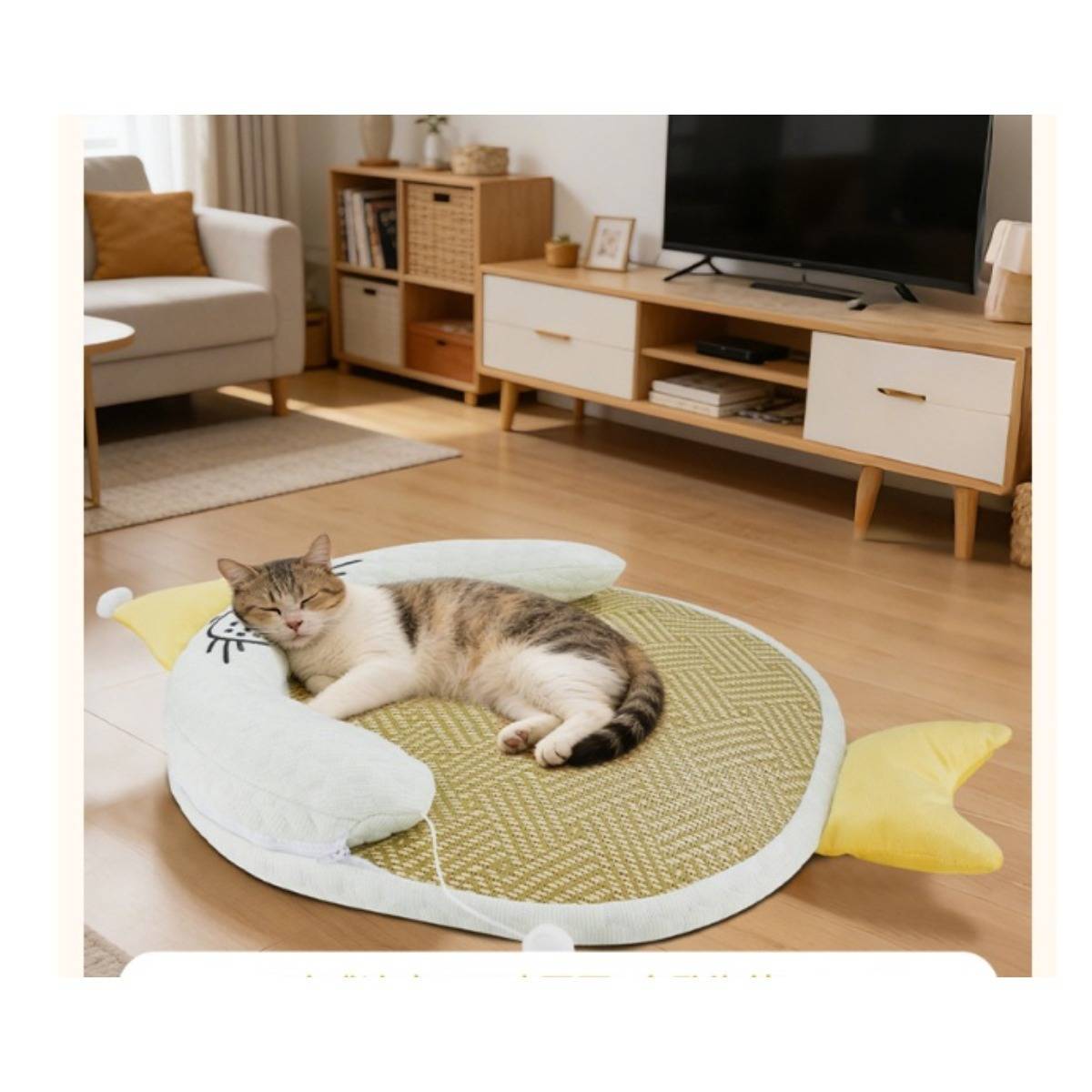 Schlafende Katze auf einem fischförmigen Kissen in einem hellen Wohnzimmer mit Fernsehständer, Sofa und Holzboden.