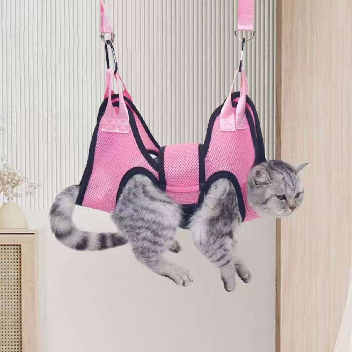 Eine graue Katze hängt in einem rosa Aufhängungsgeschirr, schwebend über dem Boden in Innenräumen.