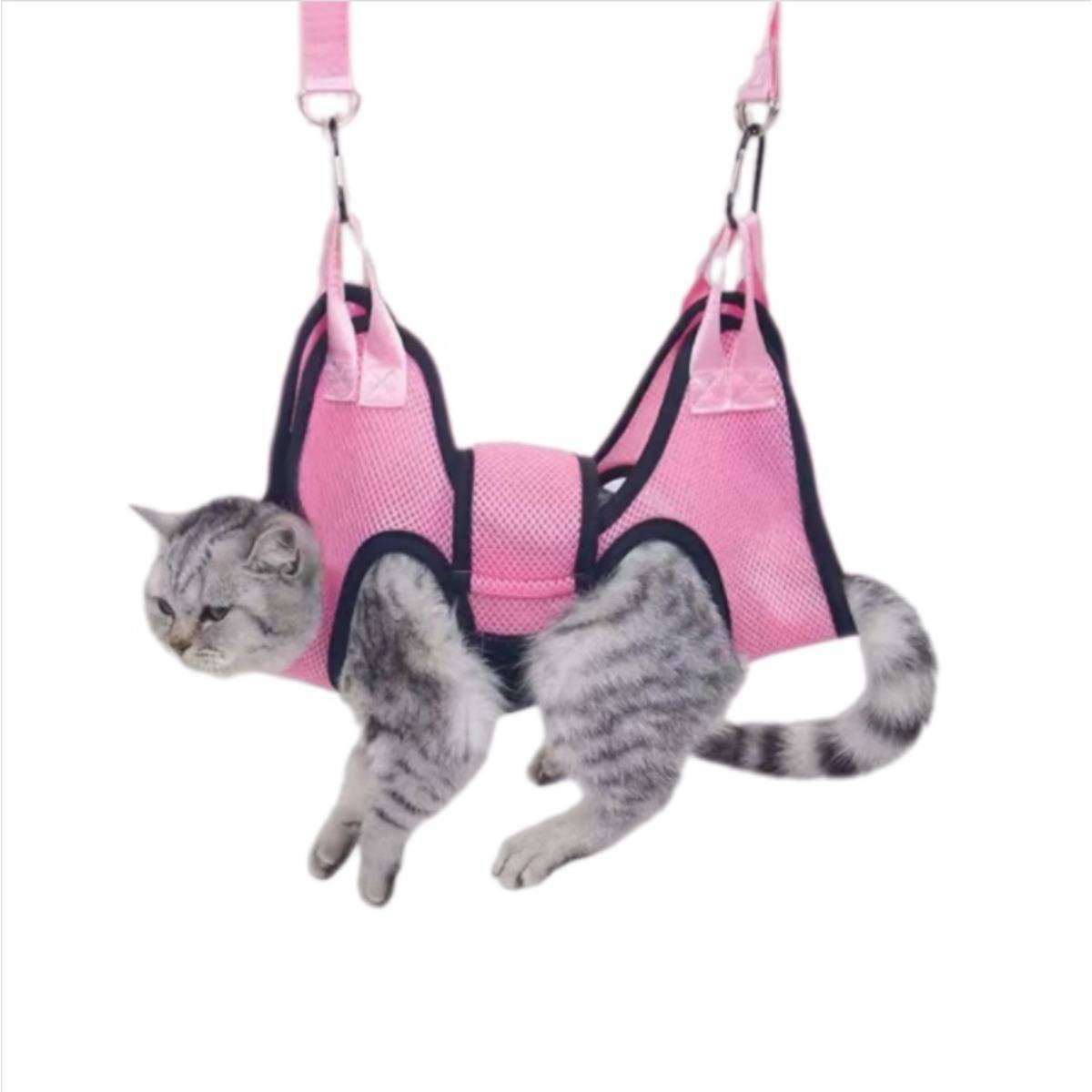 Graue Katze, die in einem rosa Mesh-Haustiergurt mit Riemen schwebt oder getragen wird, vor einem weißen Hintergrund.