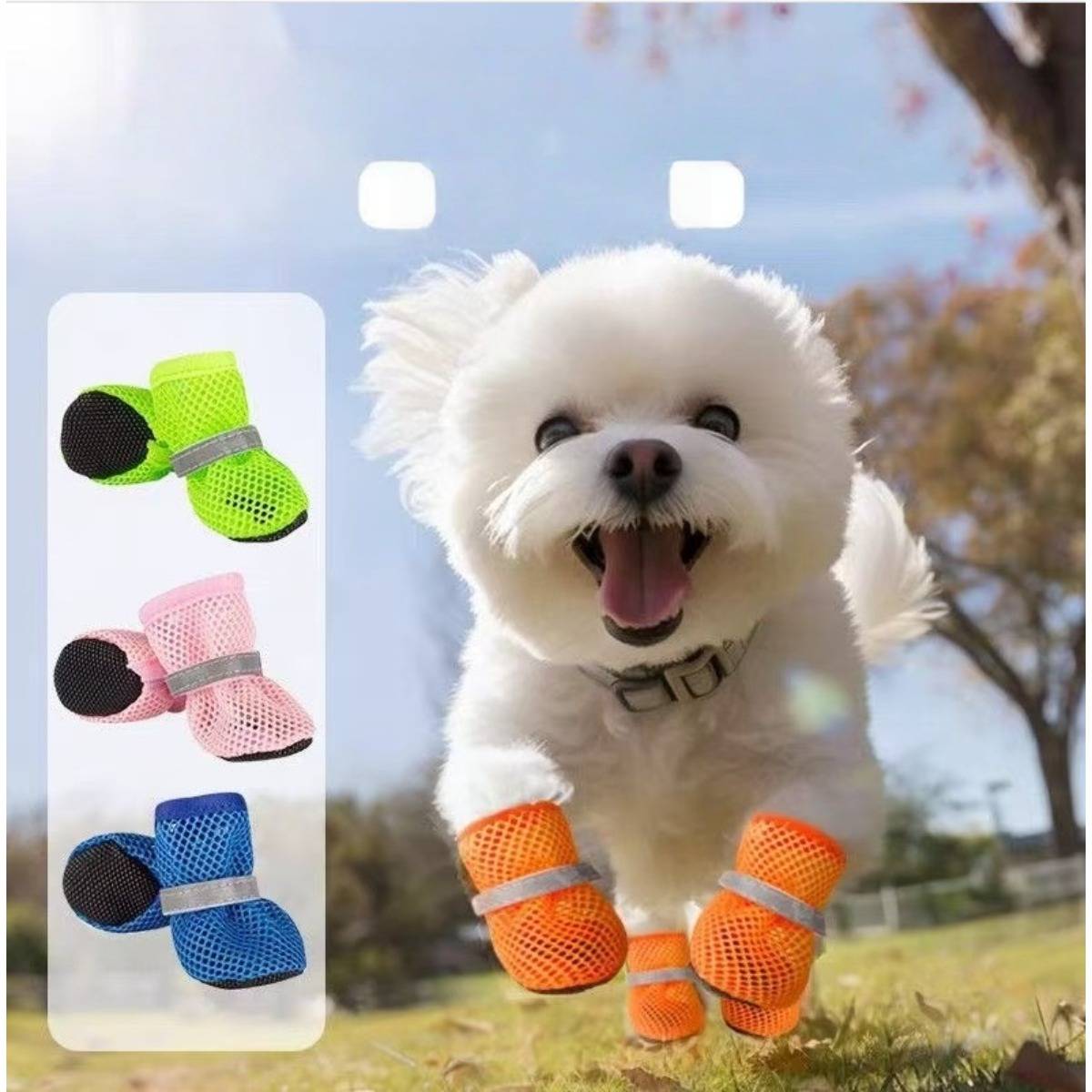 Kleiner weißer Hund, der draußen läuft und orange Stiefeletten trägt, mit einer Produkteinblendung, die die Stiefeletten in Grün, Rosa und Blau zeigt.
