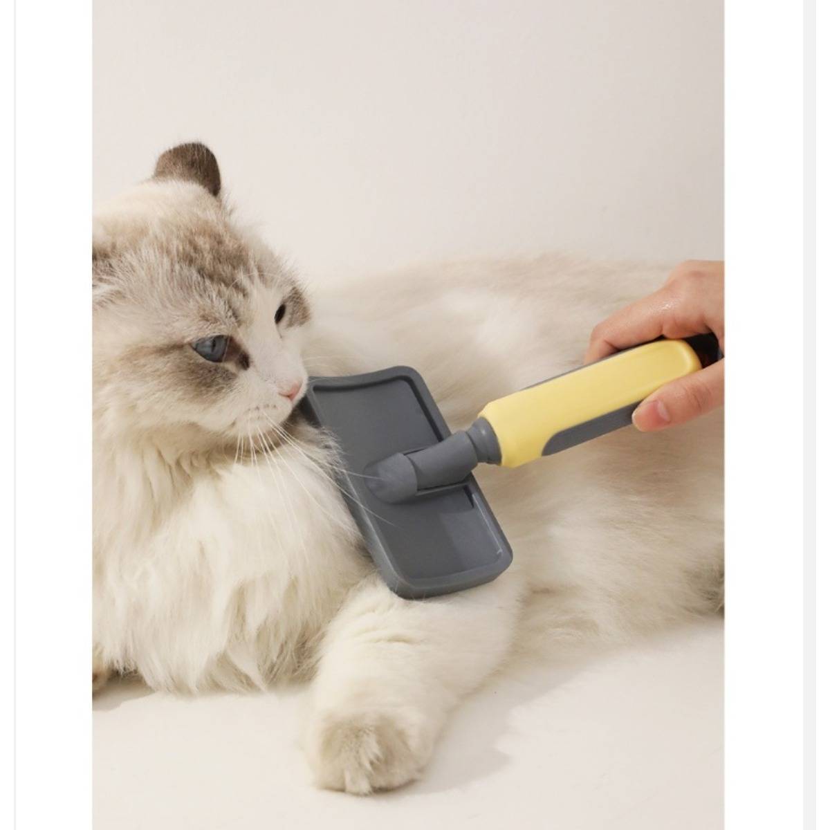 Eine Person verwendet eine Haustierpflegebürste an einer flauschigen Katze, die auf einer weißen Oberfläche liegt.