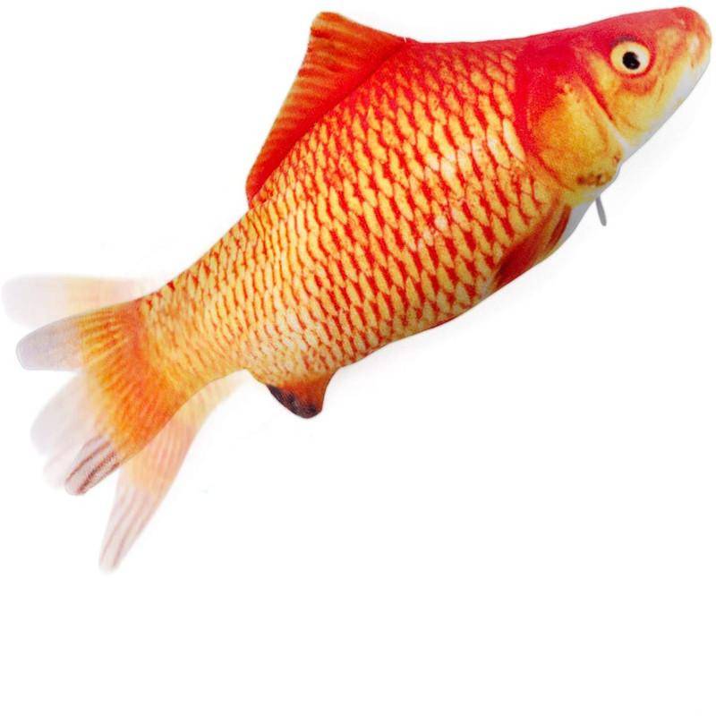 Oranger Goldfisch, der auf einem einfachen weißen Hintergrund nach rechts schwimmt.