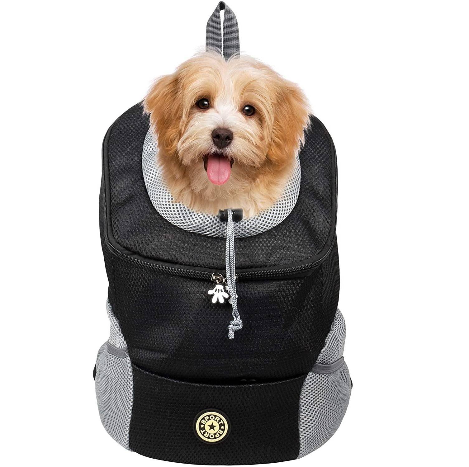 Kleiner flauschiger Hund mit herausgestreckter Zunge schaut aus der Oberseite eines schwarzgrauen Haustier-Rucksackträgers auf weißem Hintergrund hervor.