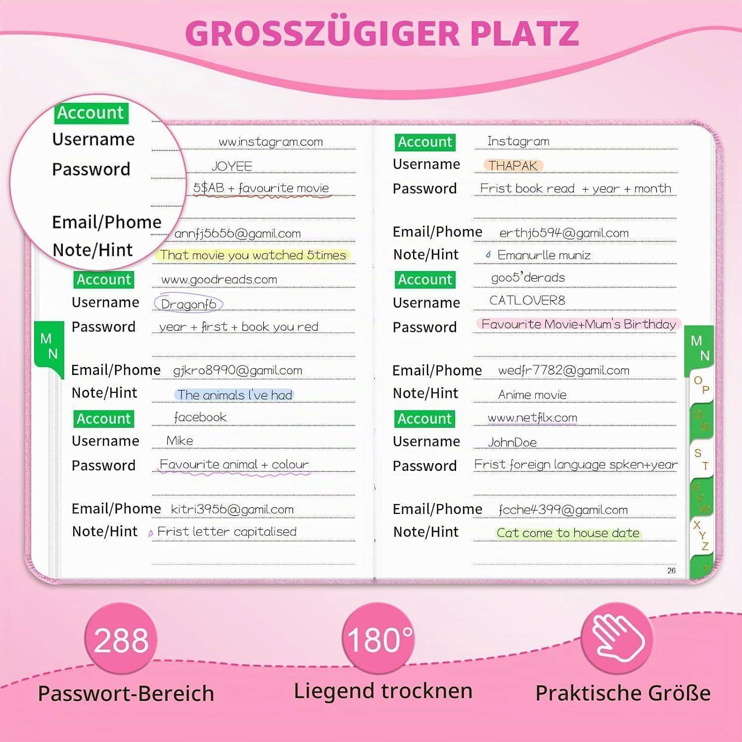 Rosa Notizbuchseite mit mehreren Kontoverwaltungsvorlagen mit Feldern für Benutzername, Passwort, E-Mail/Telefon und Notiz/Hinweis, mit der Beschriftung „GROSSZÜGIGER PLATZ