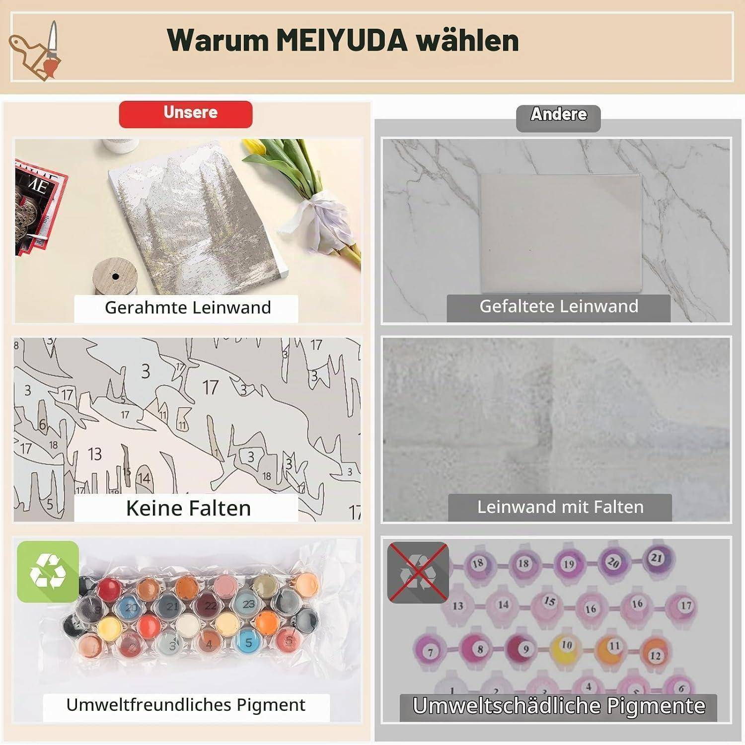 Vergleich-Infografik mit dem Titel „Warum MEIYUDA wählen
