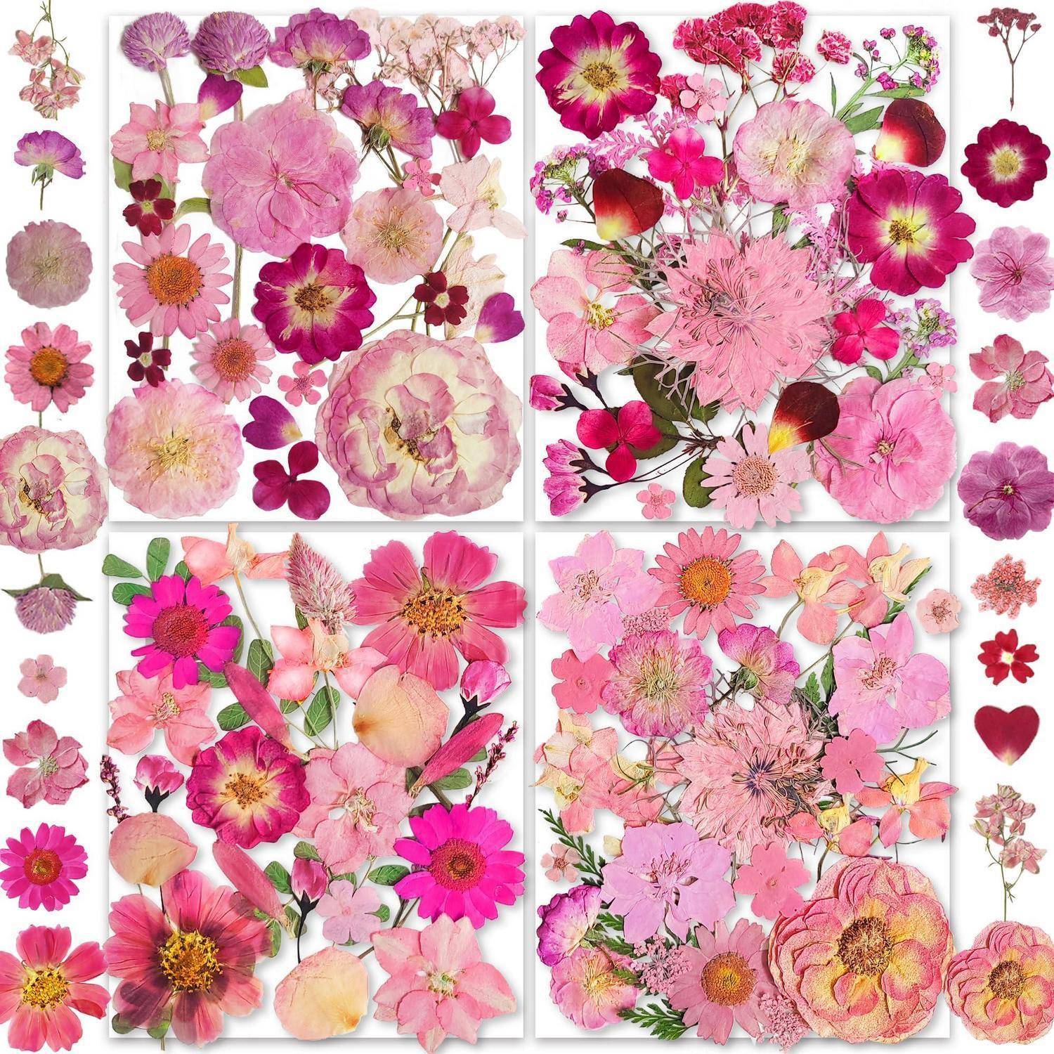 Vier Collagepanels mit rosa und magentafarbenen Blüten und Blütenblättern, die auf weiß angeordnet sind, mit verstreuten Blüten, die die Kanten rahmen.