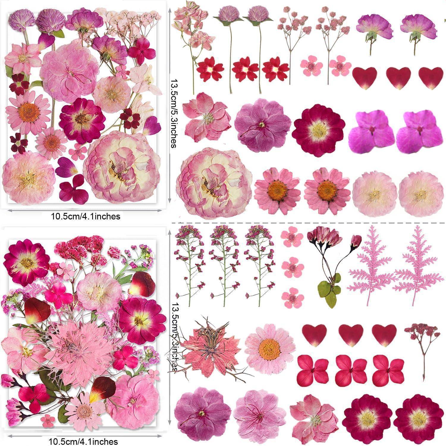 Collage aus rosa und violetten getrockneten gepressten Blüten und Blütenblättern, angeordnet in zwei Sets, mit Größenetiketten 10,5 cm x 13,5 cm und 4,1 x 5,3 Zoll.