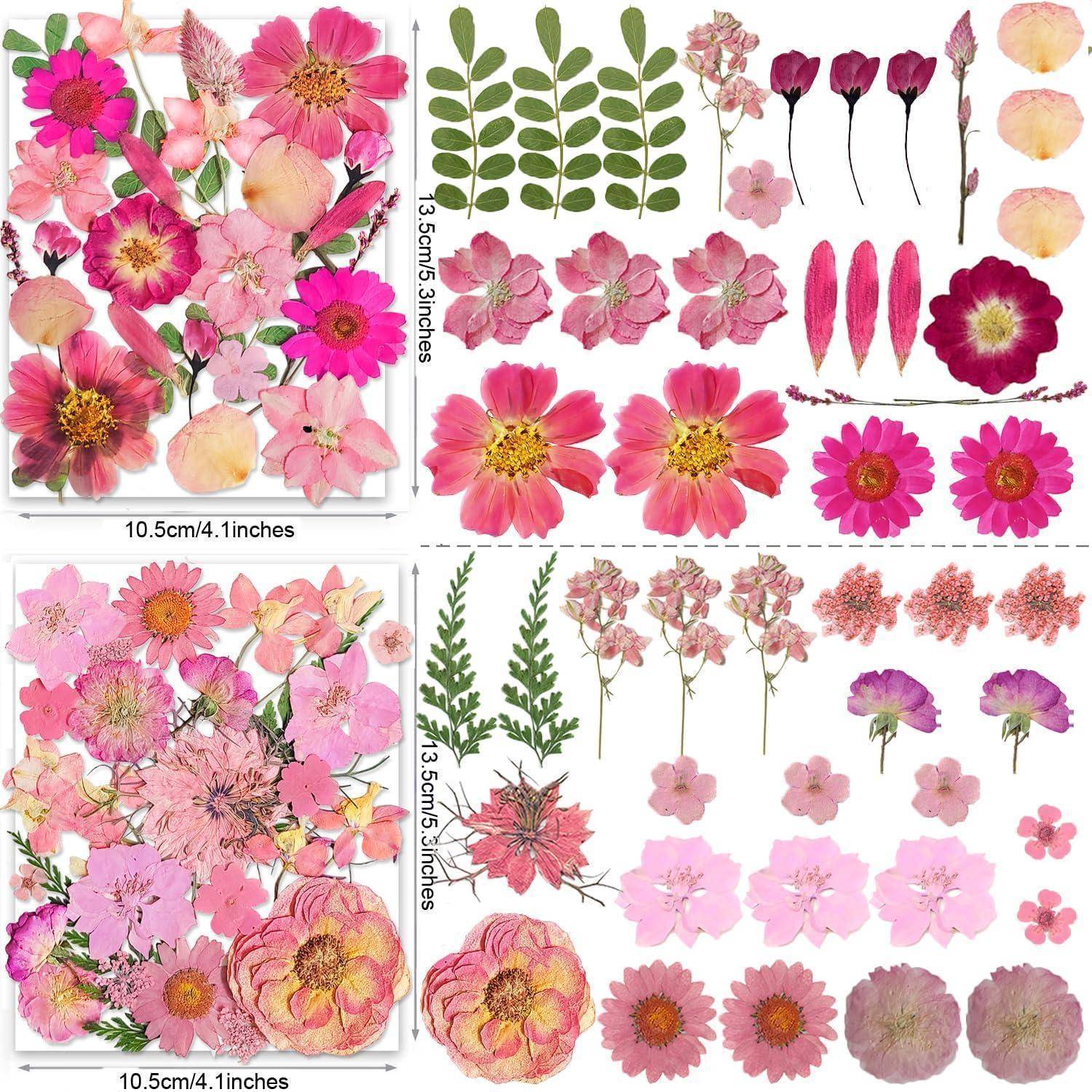 Collage aus rosa und lila getrockneten Blumenstickern und gepressten Blüten, gezeigt in Packungen in der Größe 10,5 mal 13,5 cm, mit Blättern und Blütenblättern.