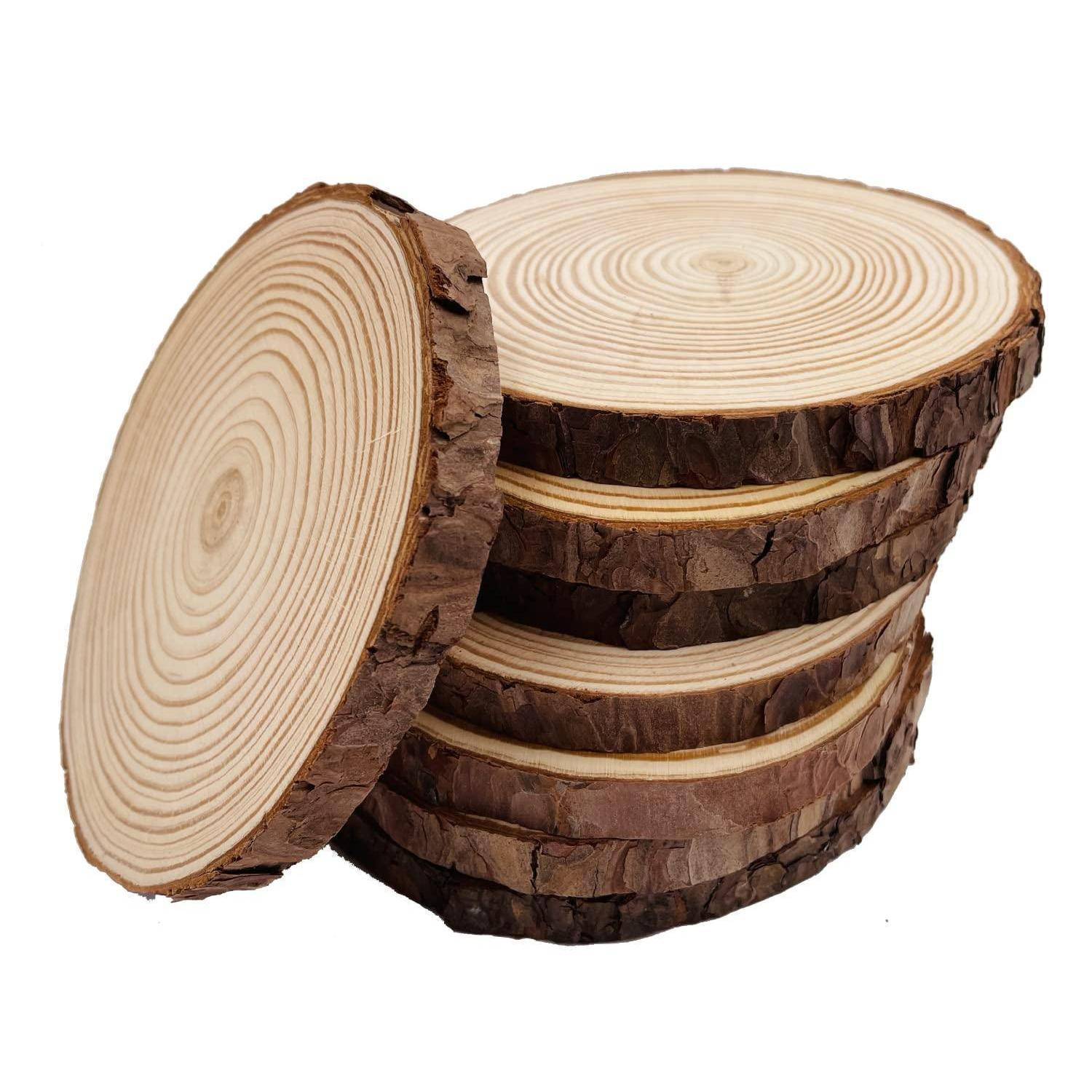 Stapel von runden Holzscheiben mit Borkenkanten, eine Scheibe aufrecht gelehnt, um Jahrringe auf weißem Hintergrund zu zeigen.