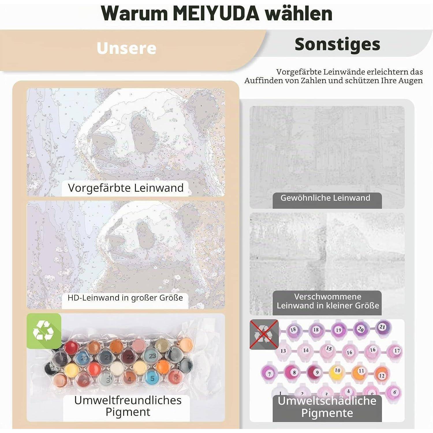 Vergleichsgrafik zeigt MEIYUDA-Vorteile: vorgefärbte Leinwand, große HD-Leinwand, umweltfreundliche Pigmente gegenüber gewöhnlicher Leinwand, unscharfe kleine Leinwand und schädliche Pigmente.