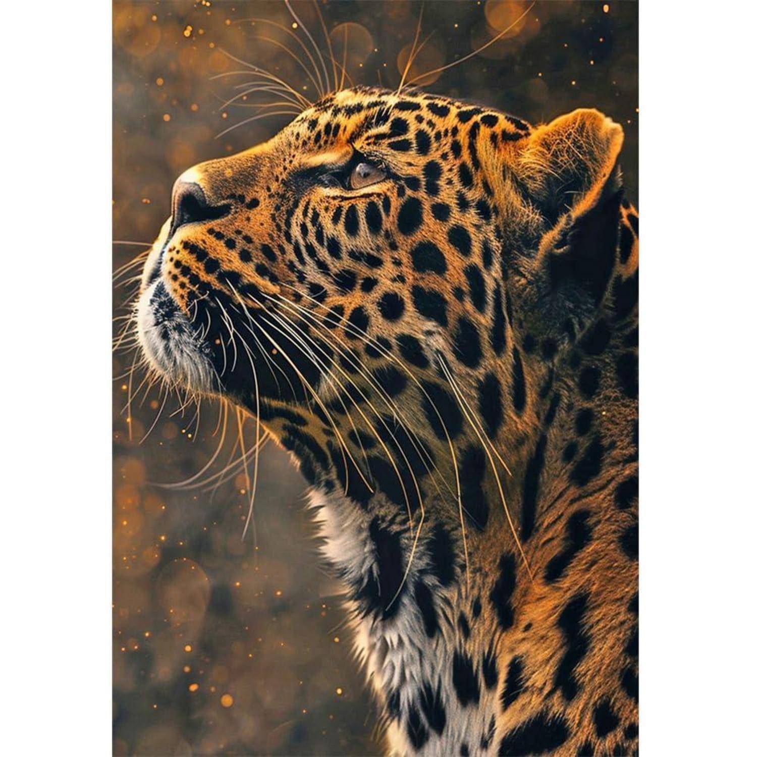 Nahaufnahme eines Leoparden im Profil, der nach oben schaut, mit goldenem Fell und schwarzen Flecken vor einem dunklen, verschwommenen Hintergrund.