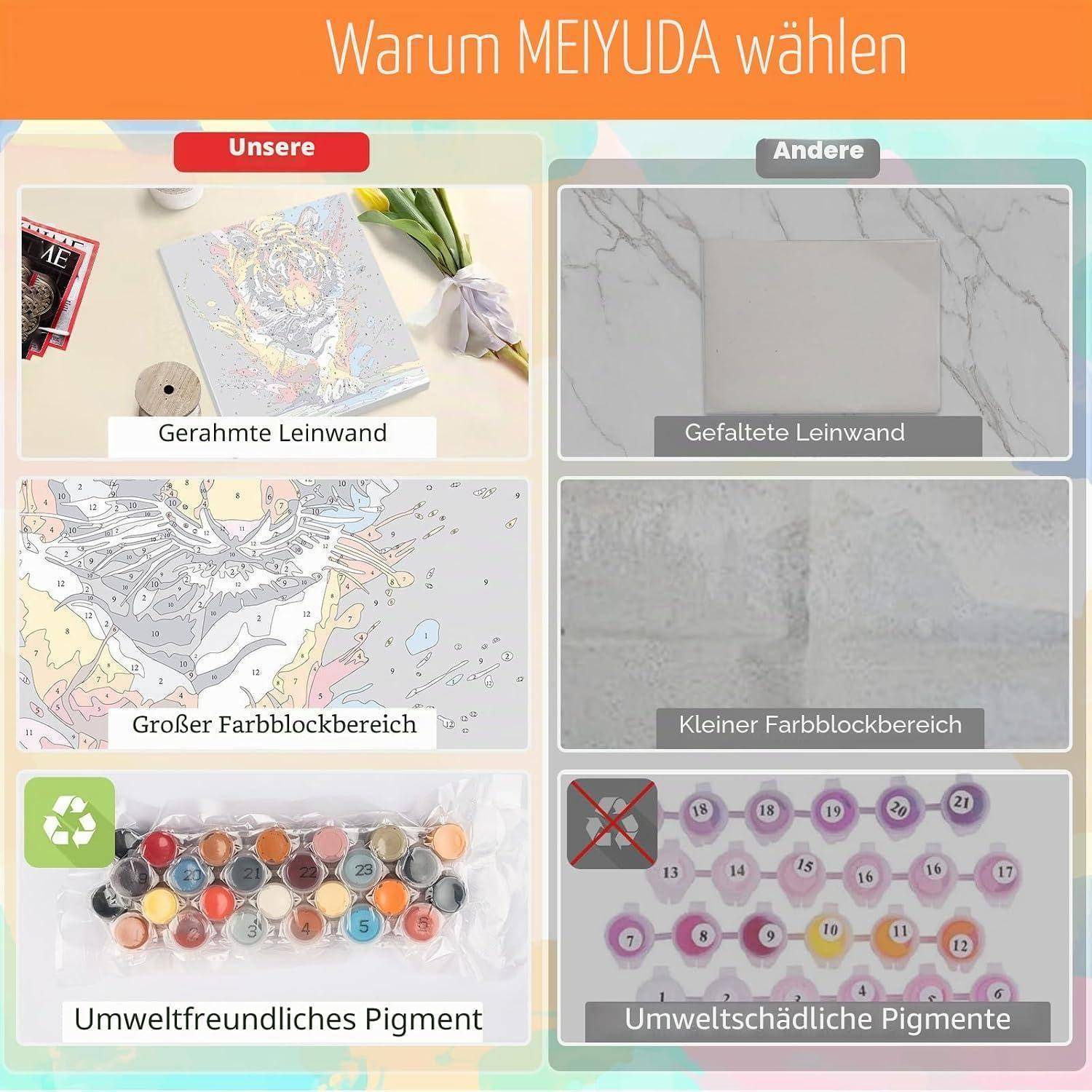 Vergleichsgrafik mit dem Titel „Warum MEYUDA wählen