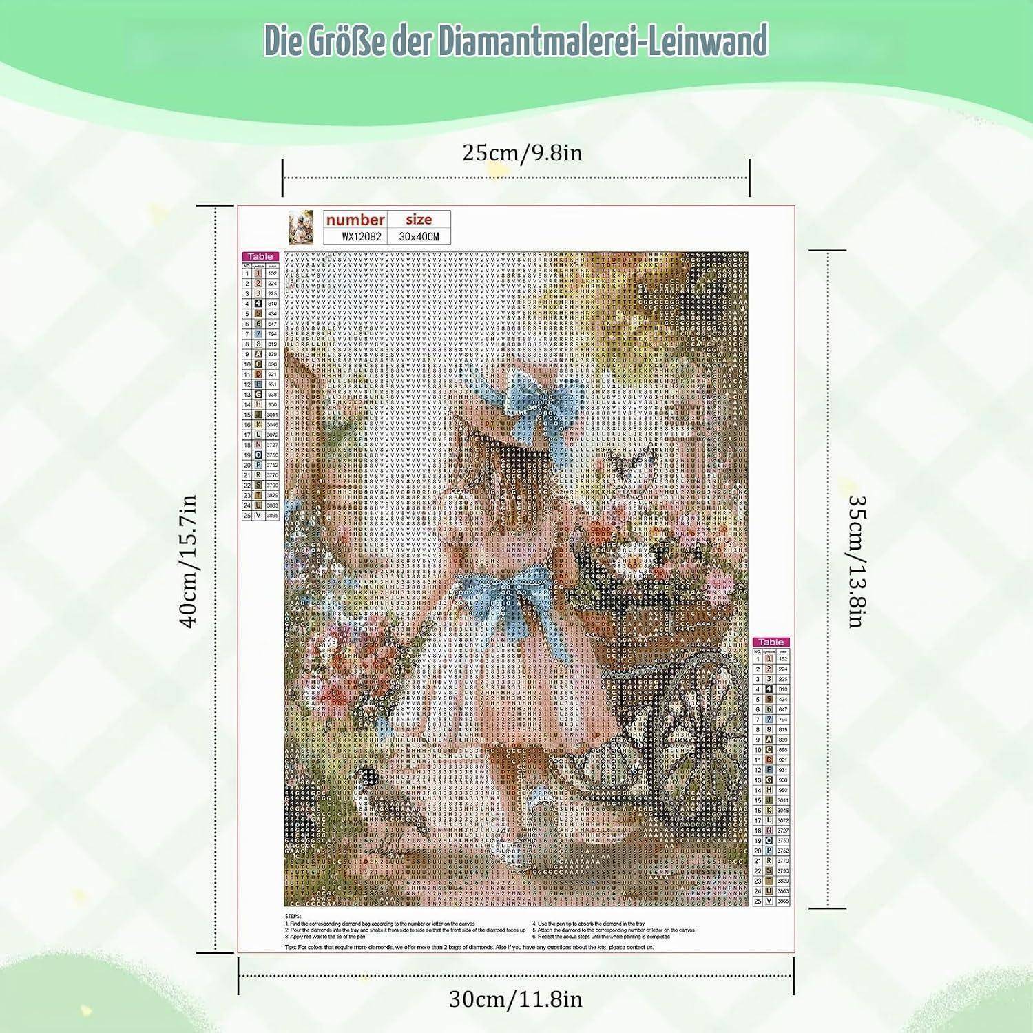 Diagramm, das die Größe einer Diamond-Painting-Leinwand zeigt, mit 25 cm x 35 cm beschriftet und 30 cm x 40 cm Gesamtabmessungen, die ein Mädchen in einer Gartenszene zeigt.