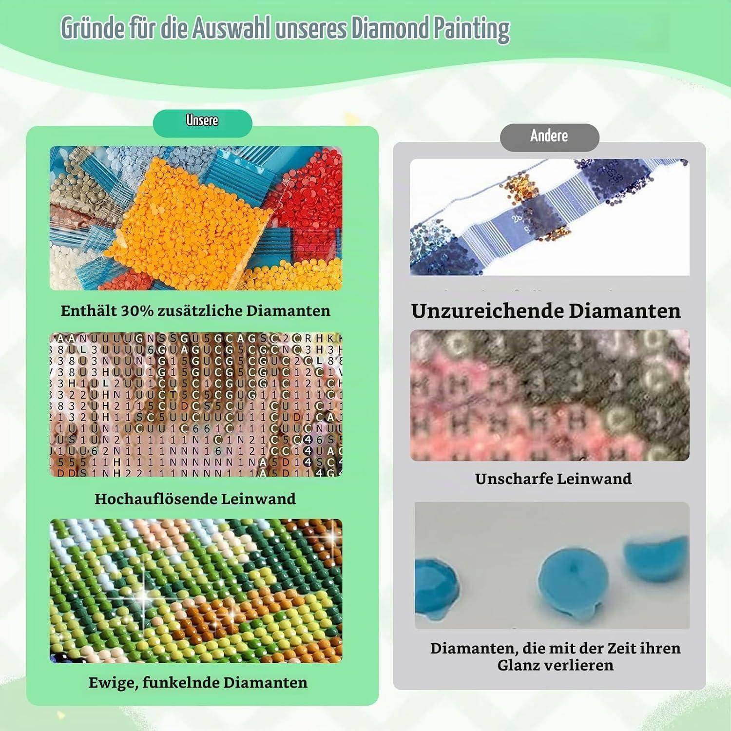 Vergleichsgrafik zeigt, dass unser Diamantmalset 30% mehr Diamanten, hochauflösige Leinwand und dauerhaften Glanz hat, während andere weniger Diamanten, unscharfe Leinwand und verblassende Steine haben.