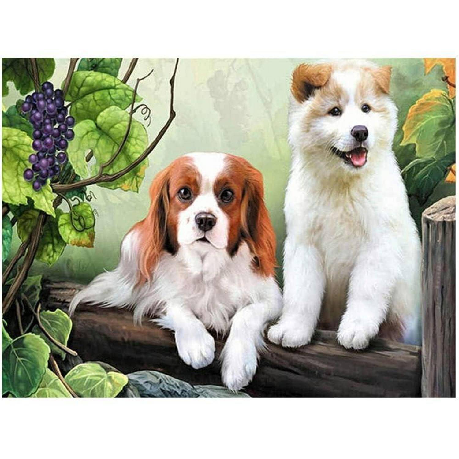 Zwei Hunde, ein braun-weiß gefleckter Spaniel und ein flauschiger weiß-brauner Welpe, sitzen auf einem Baumstamm in einem blattreichen Garten neben hängenden Trauben.
