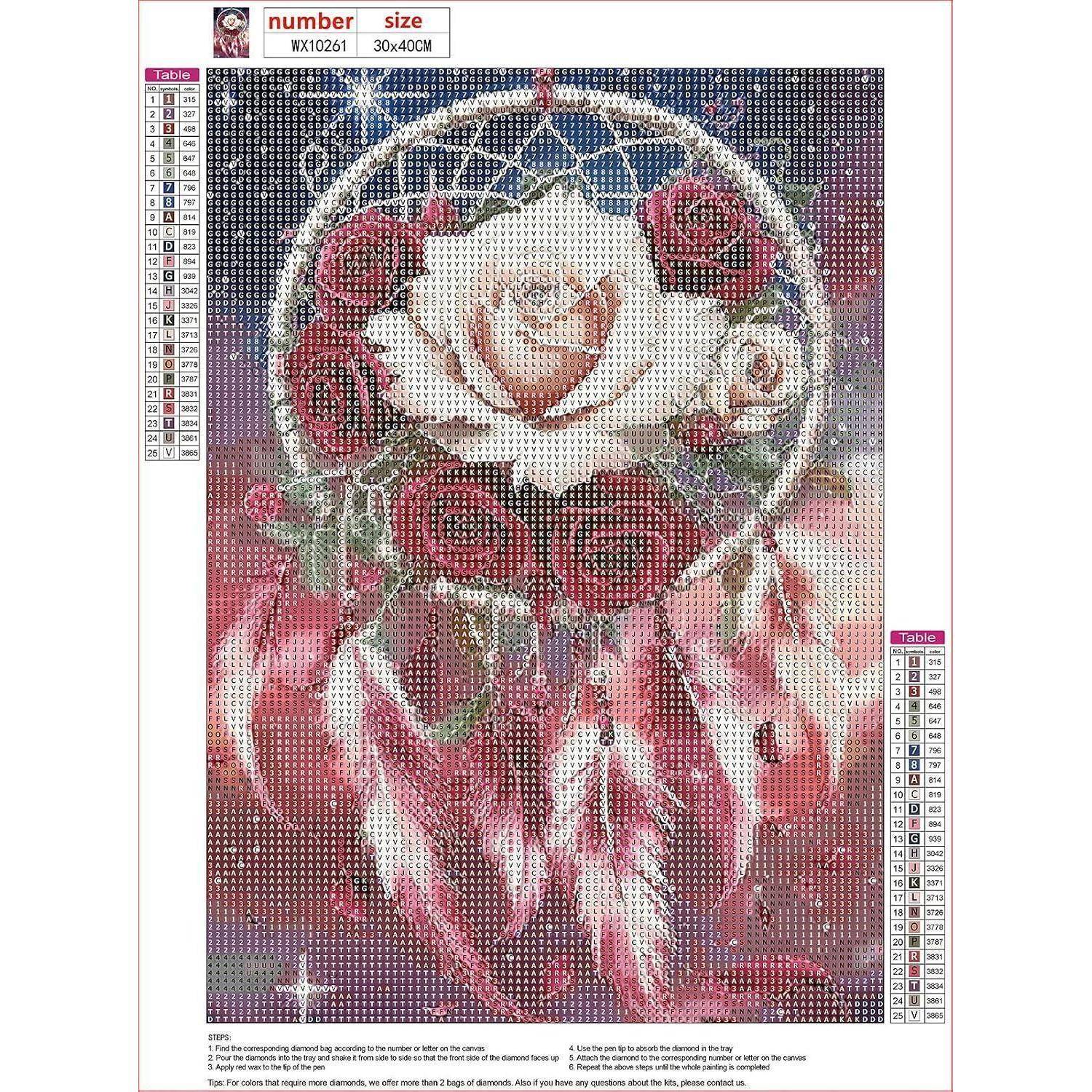 Diamantmalerei-Muster eines Traumfängers mit Rosen, weißer Blume und rosa Federn; Etikett zeigt die Nummer WX10261 und die Größe 30x40cm.