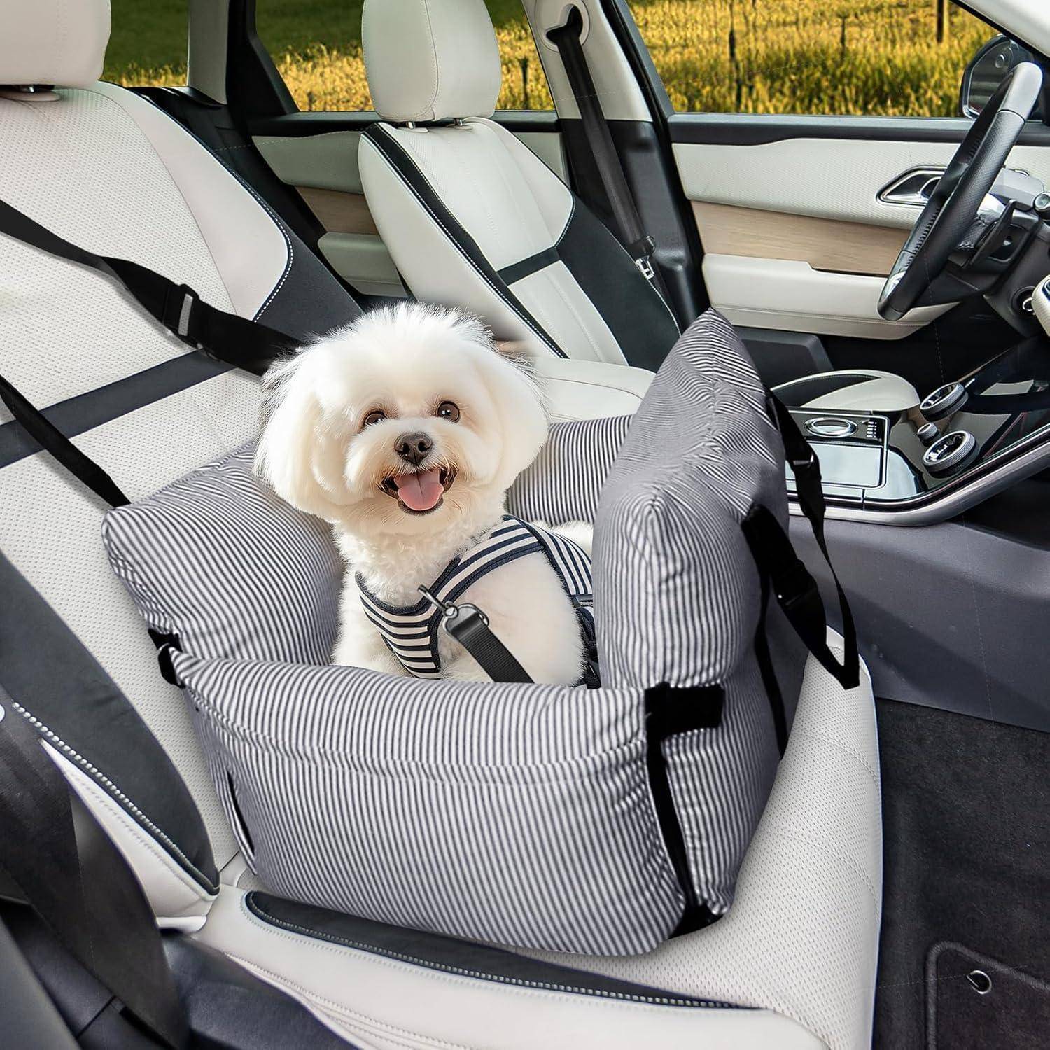 Kleiner weißer Hund mit gestreiftem Geschirr sitzt in einem gestreiften Autositzkissen auf dem Beifahrersitz eines Autos.